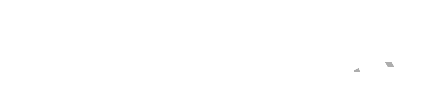 Leader Academy